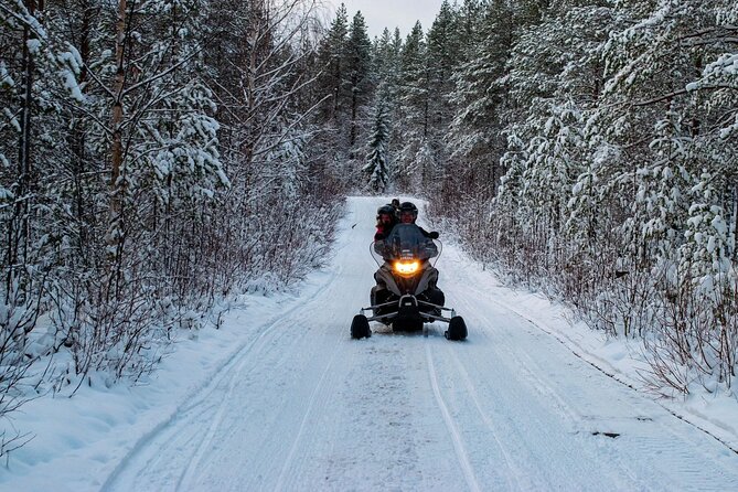 Rovaniemi: Drive New 2025 Snowmobiles on Arctic Safari & BBQ - Riding through the forest for about an hour
