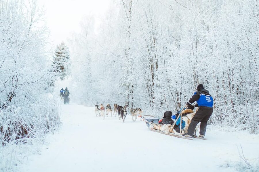 Rovaniemi: Early Winter Husky Sled Ride - Who will enjoy this most?