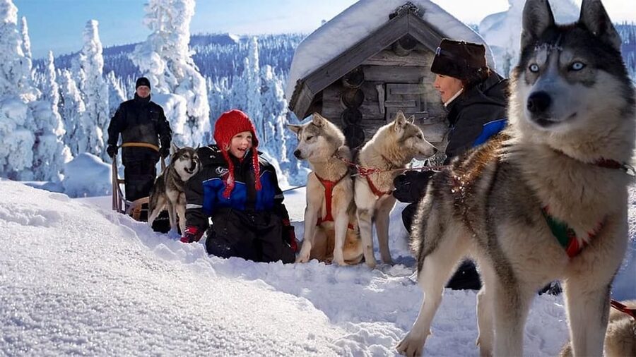Rovaniemi: Family Friendly Husky Ride and Farm Visit - The five-minute sleigh loop