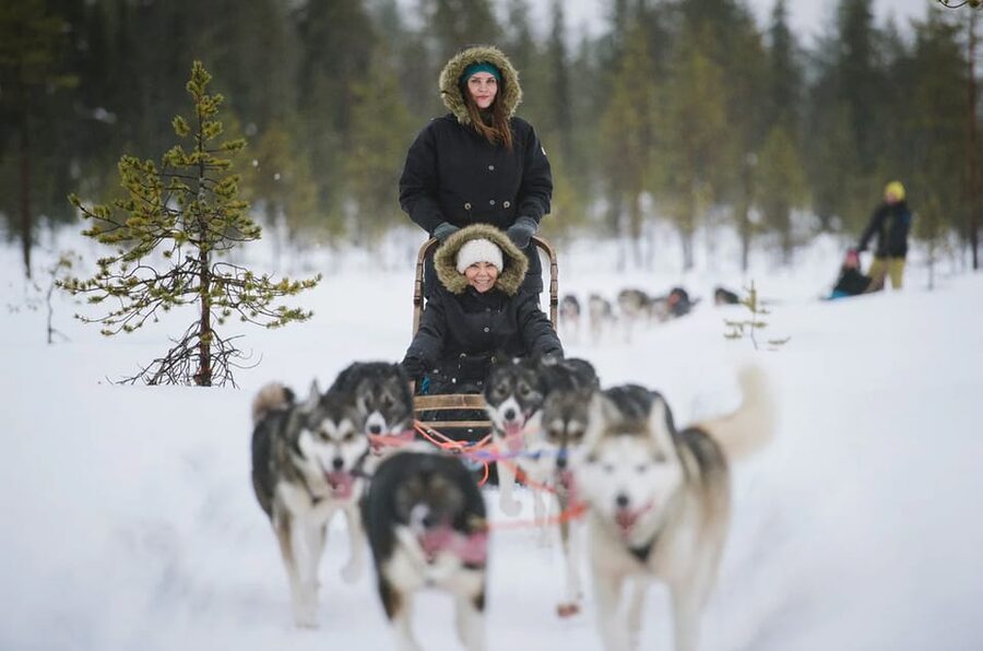 Rovaniemi: Family Friendly Husky Ride and Farm Visit - Is $128 a fair price?