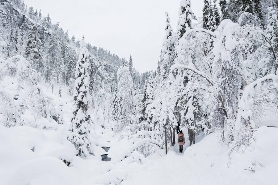 Rovaniemi: Frozen Waterfalls of Korouoma Canyon & Pro Photos - The first section of the 5-kilometer hike