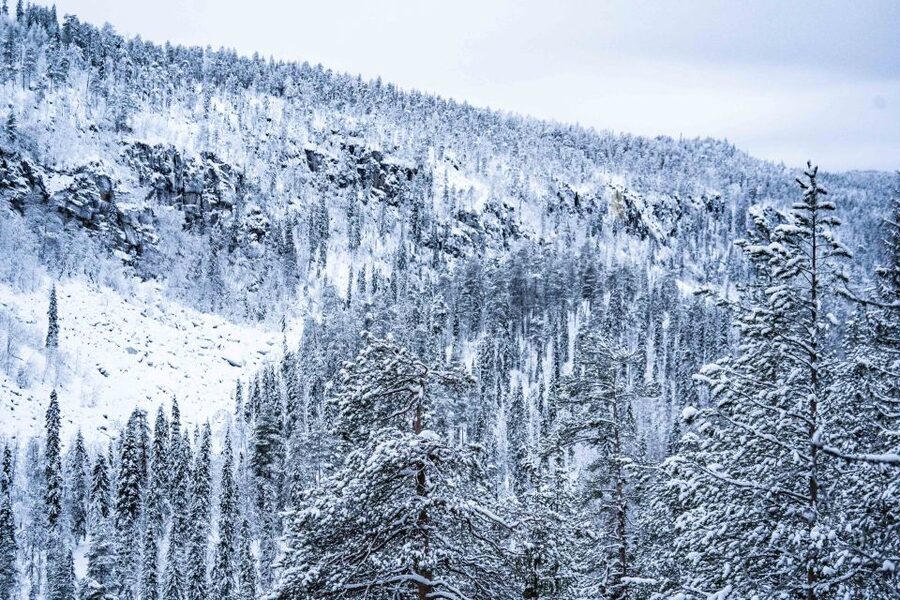 Rovaniemi: Frozen Waterfalls of Korouoma Canyon & Pro Photos - Who should book this hike