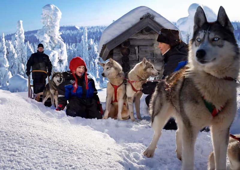 Rovaniemi: Full-Day Highlights Tour with Buffet Lunch - Arktikum Museum: the part that adds meaning