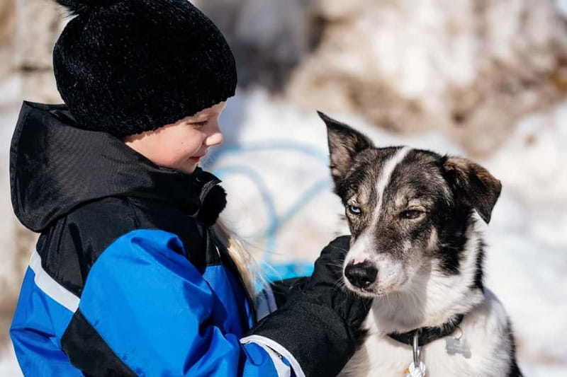 Rovaniemi: Full-Day Snow and Fun Activities - Key points to know before booking