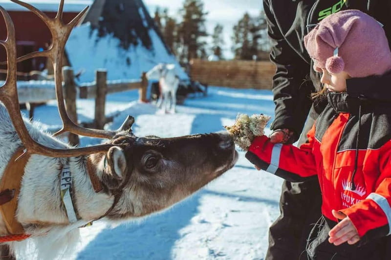Rovaniemi: Full-Day Snow and Fun Activities - Mini snowmobiles for children aged 5 to 10