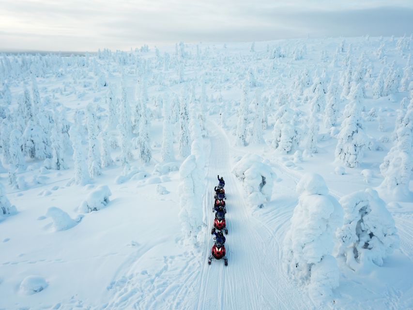 Rovaniemi: Full-Day Snowmobile Safari into the Wilderness - Four to five hours on a snowmobile