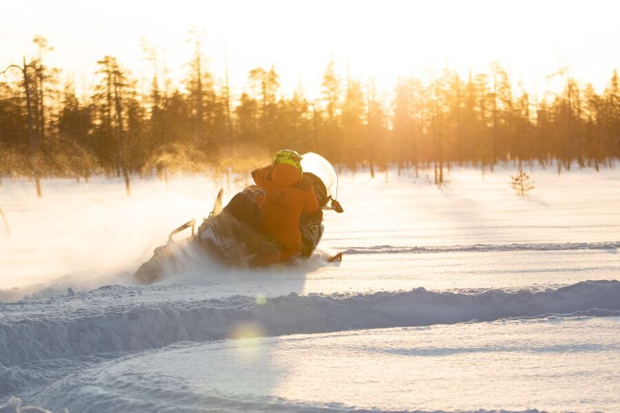Rovaniemi: Full-Day Snowmobile Safari into the Wilderness - Who will enjoy this most