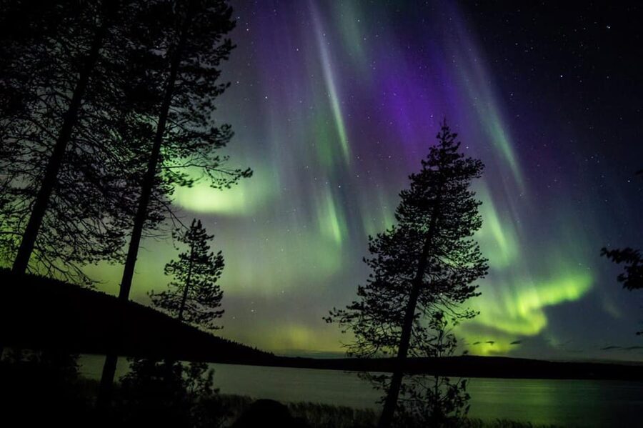 Rovaniemi: Guaranteed Aurora Hunting Tour with Local Guide - Photo stops and phone help