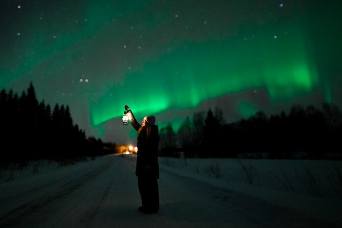 Rovaniemi: Guaranteed Northern Lights - Small Group & Photography - Small vehicles make a long night easier