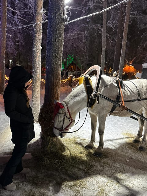Rovaniemi: Guided Tour of Santa Claus Village - Santa’s Main Post Office and the Lapland letter ritual
