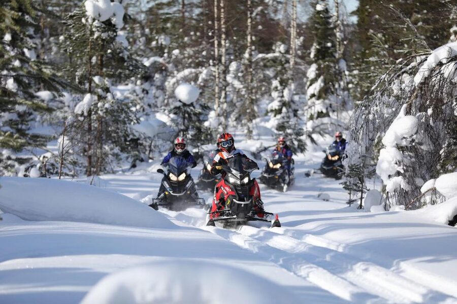 Rovaniemi: Guided Wilderness Snowmobile Ride - Into the snowy forest