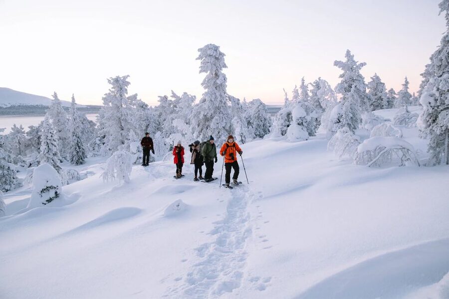 Rovaniemi: Hiking and Snowshoeing Adventure in Lapland - Key points to know before you book