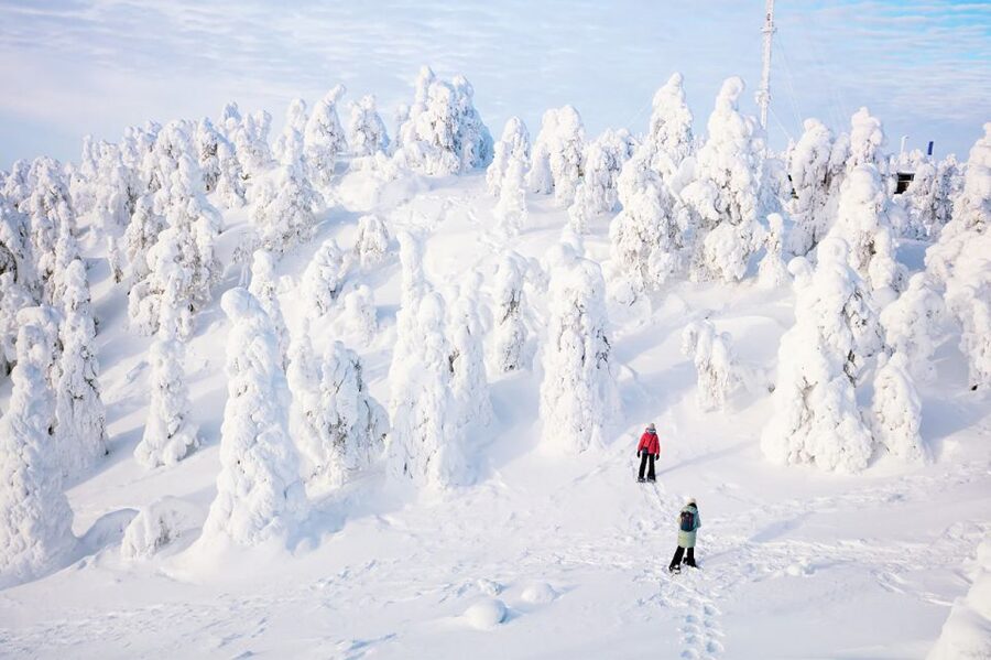 Rovaniemi: Hiking and Snowshoeing Adventure in Lapland - Walking across snow, ice, and quiet woodland