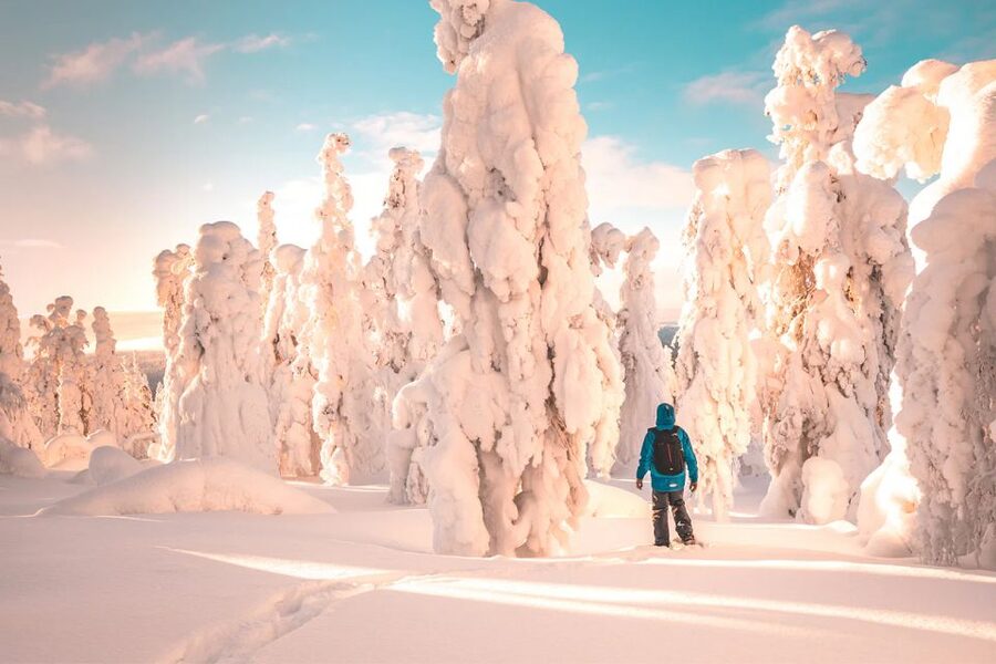 Rovaniemi: Hiking and Snowshoeing Adventure in Lapland - The uphill section and the Arctic Circle view