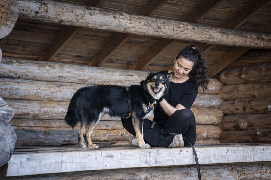 Rovaniemi: Hiking Experience with Lappish Dogs - The 2.5-hour plan from Rovaniemi