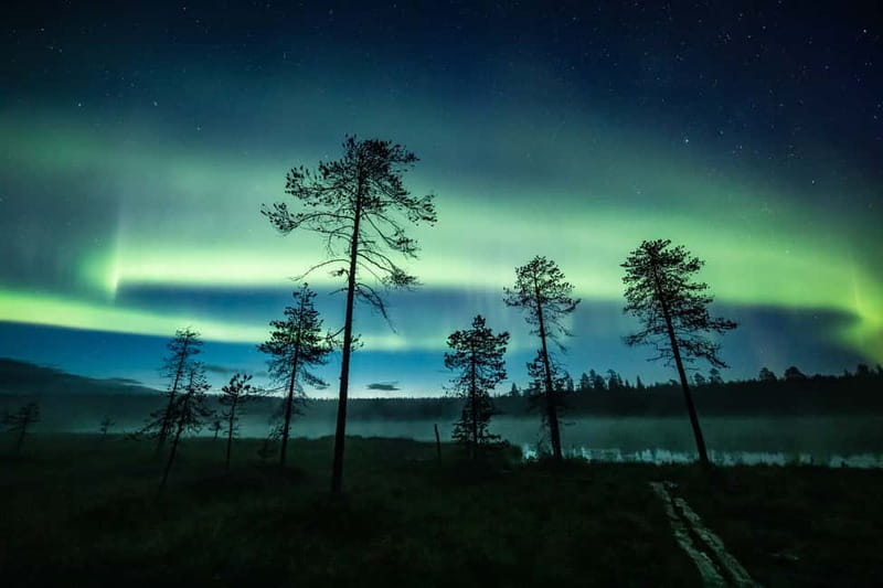 Rovaniemi: Horse Sleigh Ride under the Night Sky - A quiet horse ride into the Arctic night