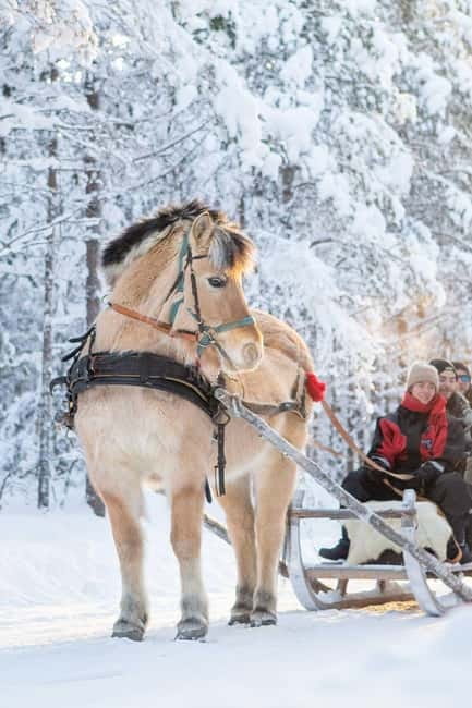 Rovaniemi: Horse Sleigh Ride under the Night Sky - Choosing your winter clothing