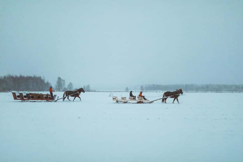 Rovaniemi: Horse Sleigh Ride under the Night Sky - Listening to Finnish horse stories