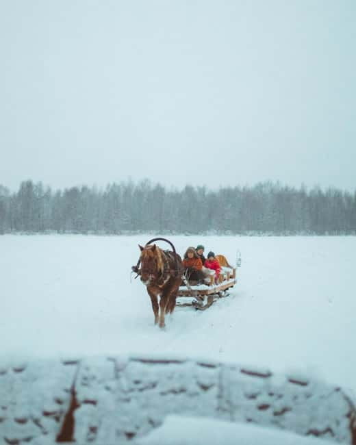 Rovaniemi: Horse Sleigh Ride under the Night Sky - The bonfire, sausages, and wooden cups
