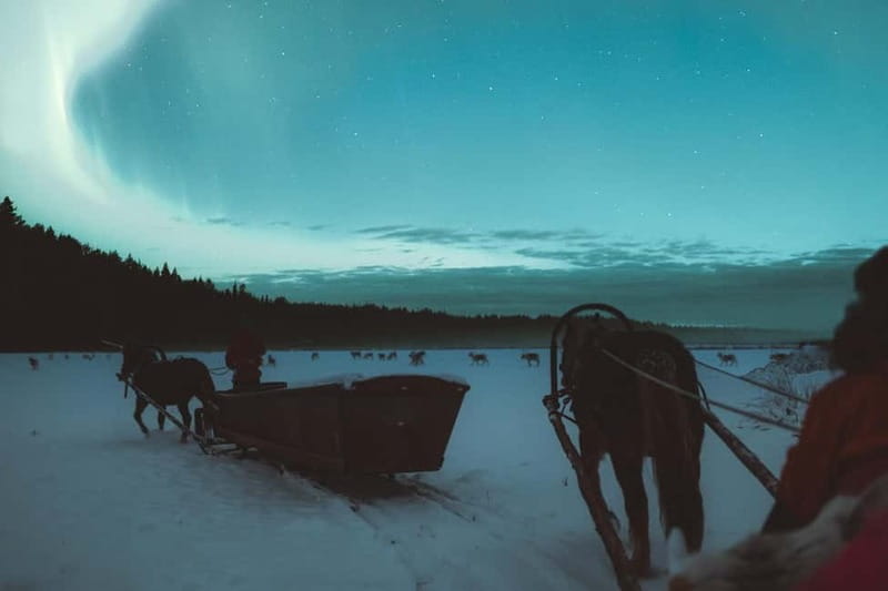 Rovaniemi: Horse Sleigh Ride under the Night Sky - How realistic is the Aurora chance?