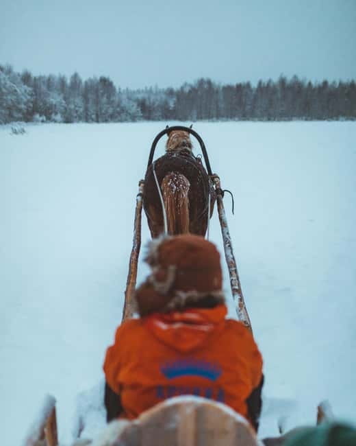 Rovaniemi: Horse Sleigh Ride under the Night Sky - Is $185 a fair price?