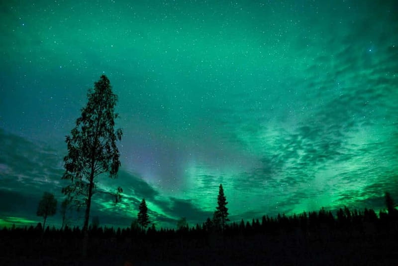 Rovaniemi: Horse Sleigh Ride under the Night Sky - From Rovaniemi to Apukka Resort