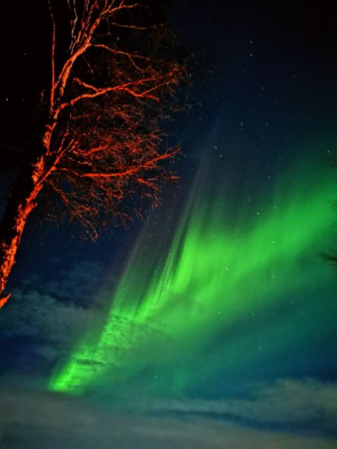 Rovaniemi Hunting Aurora at the Best Spots - Key points at a glance