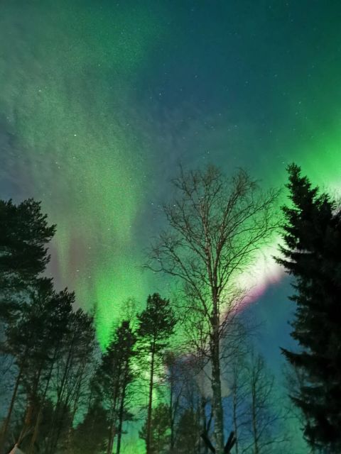 Rovaniemi Hunting Aurora at the Best Spots - Hot tea, borrowed clothing, and what you must bring