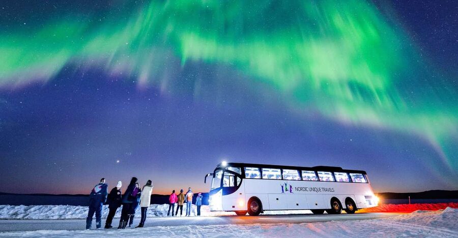 Rovaniemi: Hunting Northern Lights Bus Tour - Waiting under the Arctic sky