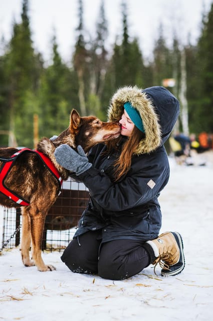 Rovaniemi: Husky and Reindeer farm with sleigh ride - Timing, clothing, and pickup advice
