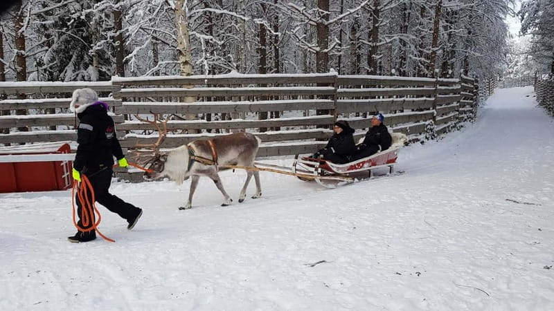 Rovaniemi: Husky Farm and Reindeer Experience - Guides Make a Real Difference