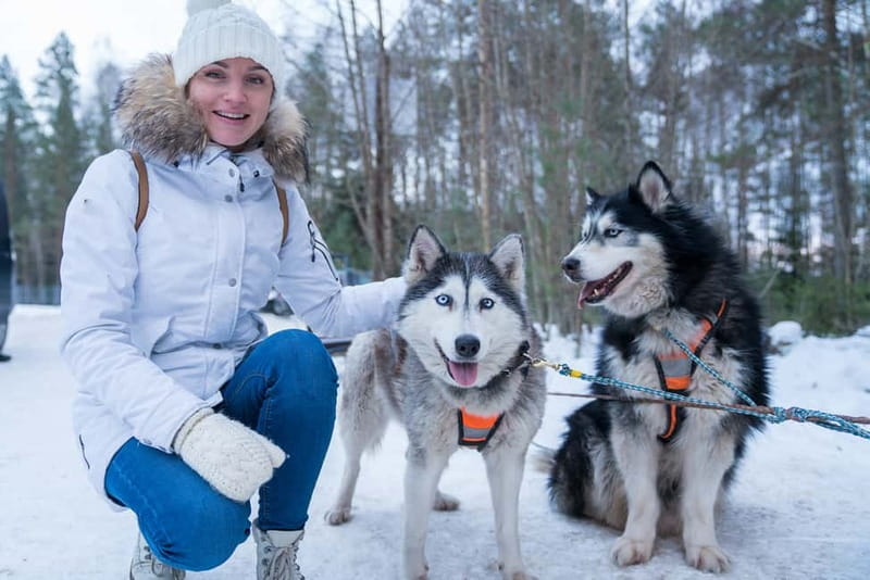 Rovaniemi: Husky Farm and Reindeer Experience - Leaving Rovaniemi for the Reindeer Manor