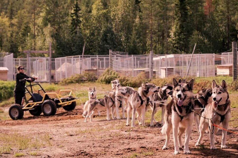 Rovaniemi: Husky Safari & Campfire BBQ – 6‑10 km Self‑Drive - Driving through forests and over frozen lakes