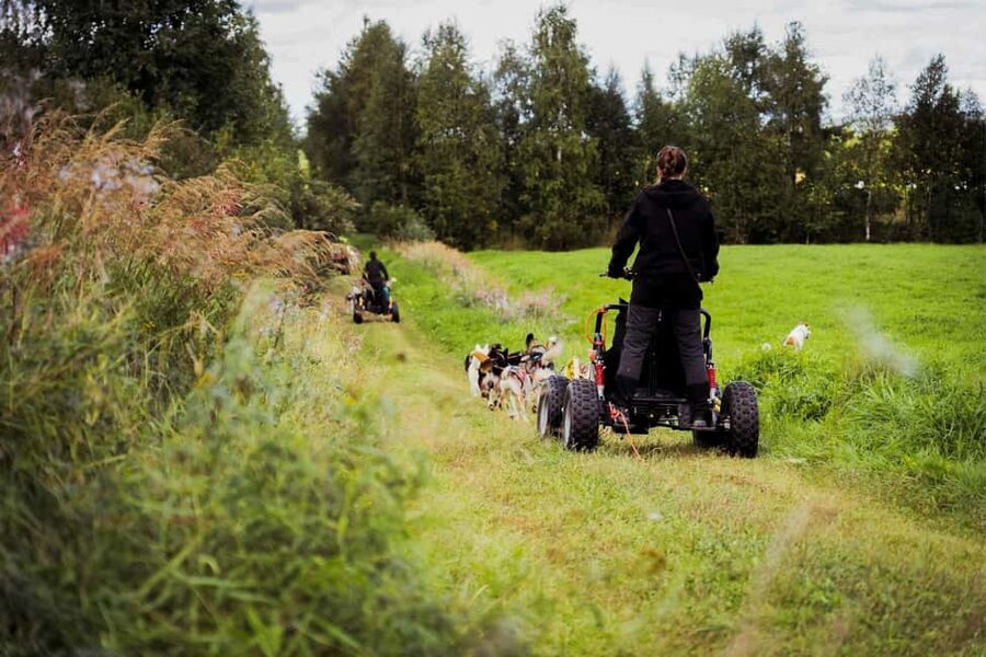 Rovaniemi: Husky Safari & Campfire BBQ – 6‑10 km Self‑Drive - Switching roles and making the most of the ride