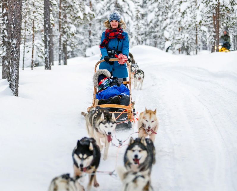 Rovaniemi: Husky Safari on a Snowy Trail - Who should book this husky safari?