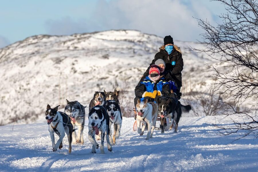 Rovaniemi: Husky Sled Ride and Farm Visit - Inside the heated hut with berry juice and cookies