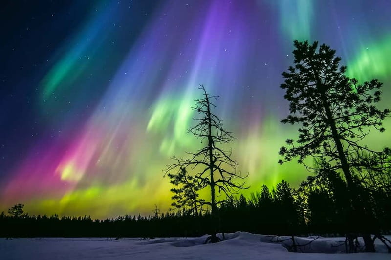 Rovaniemi: Ice Floating in Forest Lake with Aurora Borealis - From central Rovaniemi to a quiet forest lake