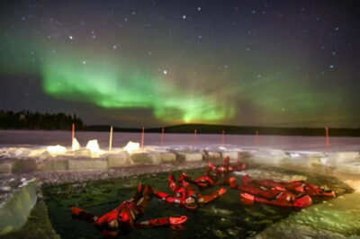 Ice Floating in Forest Lake with Aurora Borealis
