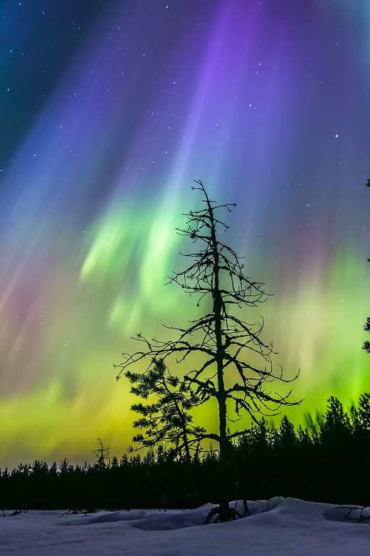 Rovaniemi: Ice Floating in Forest Lake with Aurora Borealis - The guides make the unusual feel safe