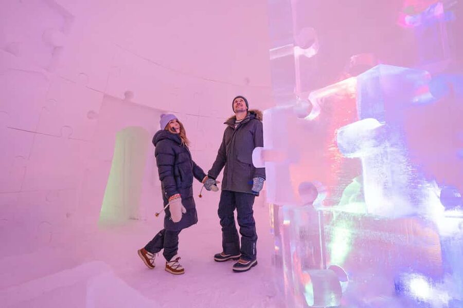 Rovaniemi: Ice sculpting experience - Who should book this experience?