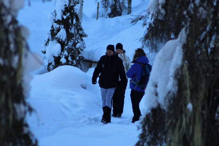 Rovaniemi: Korouoma Canyon and Frozen Waterfalls Tour - Practical preparation for the seven-hour outing