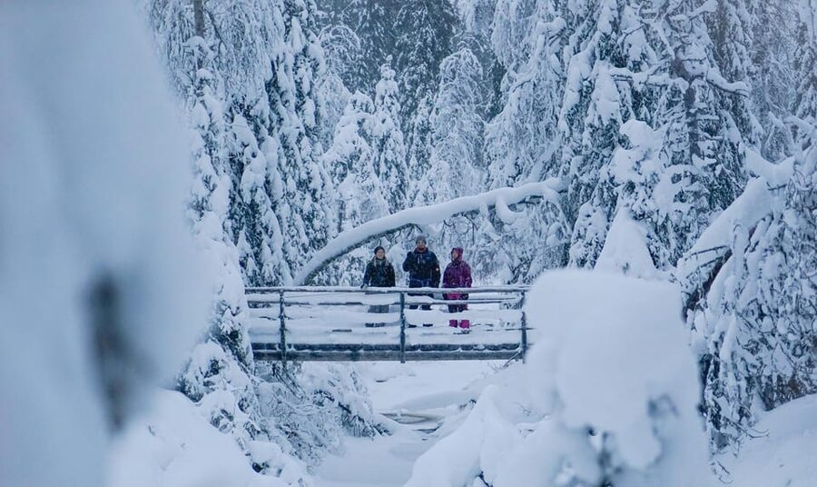 Rovaniemi: Korouoma Canyon Frozen Waterfalls Guided Hike - Getting close to the ice formations