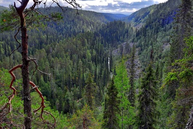 Rovaniemi Korouoma Canyon Hike and Barbecue Experience - Why Korouoma Canyon Makes a Good Day Trip
