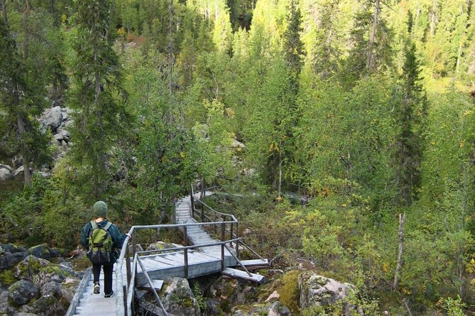 Rovaniemi Korouoma Canyon Hike and Barbecue Experience - The Morning Ride from Rovaniemi