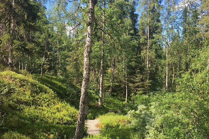 Rovaniemi Korouoma Canyon Hike and Barbecue Experience - Hiking the 4 to 6 Kilometer Canyon Route