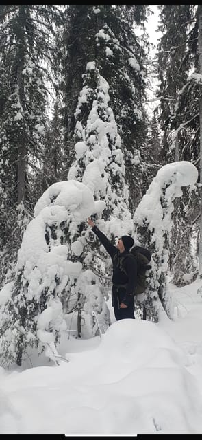 Rovaniemi: Korouoma Frozen Waterfalls Hike & Hot BBQ Lunch - Key points to know before booking