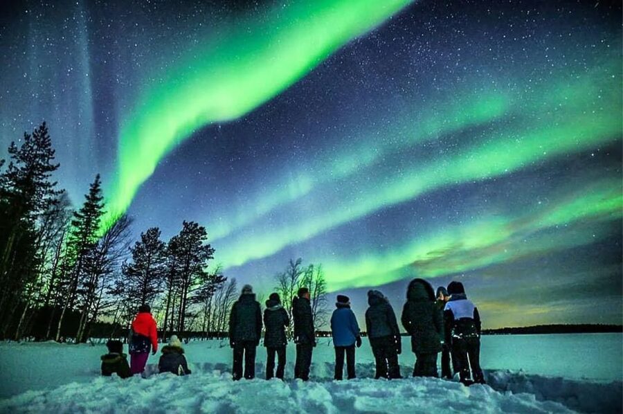 Rovaniemi: Lapland Northern Lights Tour with BBQ - Should you book it?
