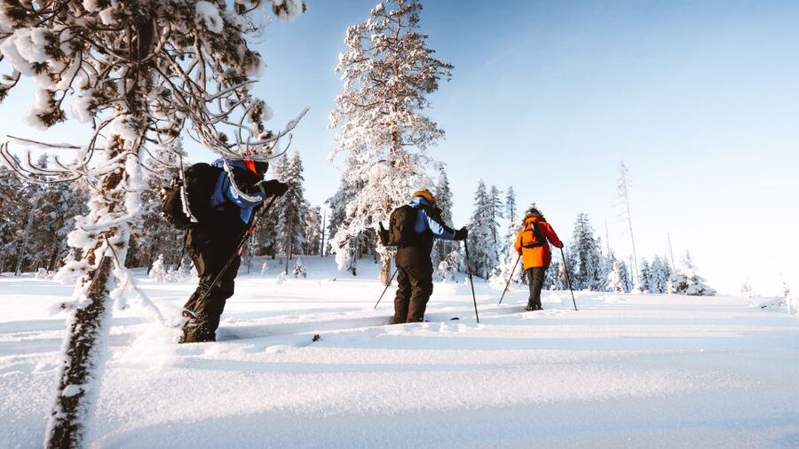 Rovaniemi: Lapland Ski Trekking Safari - A Finnish campfire in the snow