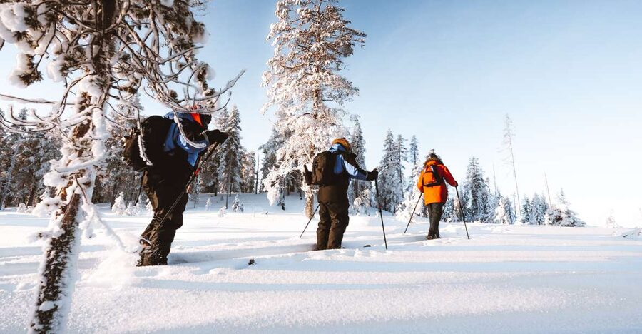 Rovaniemi: Lapland Ski Trekking Safari - Guides who make the difference