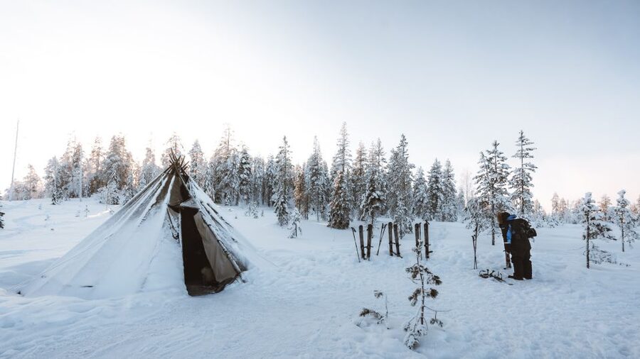 Rovaniemi: Lapland Ski Trekking Safari - Who should book this ski safari?